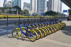 【2分钟教程】榆林市工厂咨询电话号码_哔哩哔哩-3